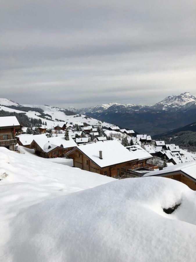 Chalet Lys Apartment 14 Rue Sigma Champoussin Exterior photo